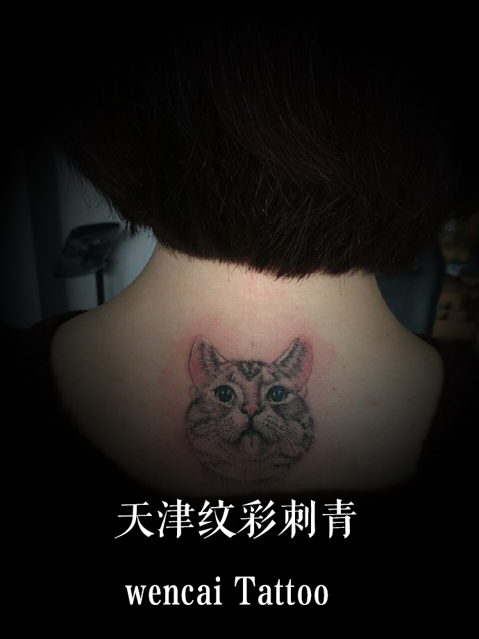 天津纹彩刺青纹身作品