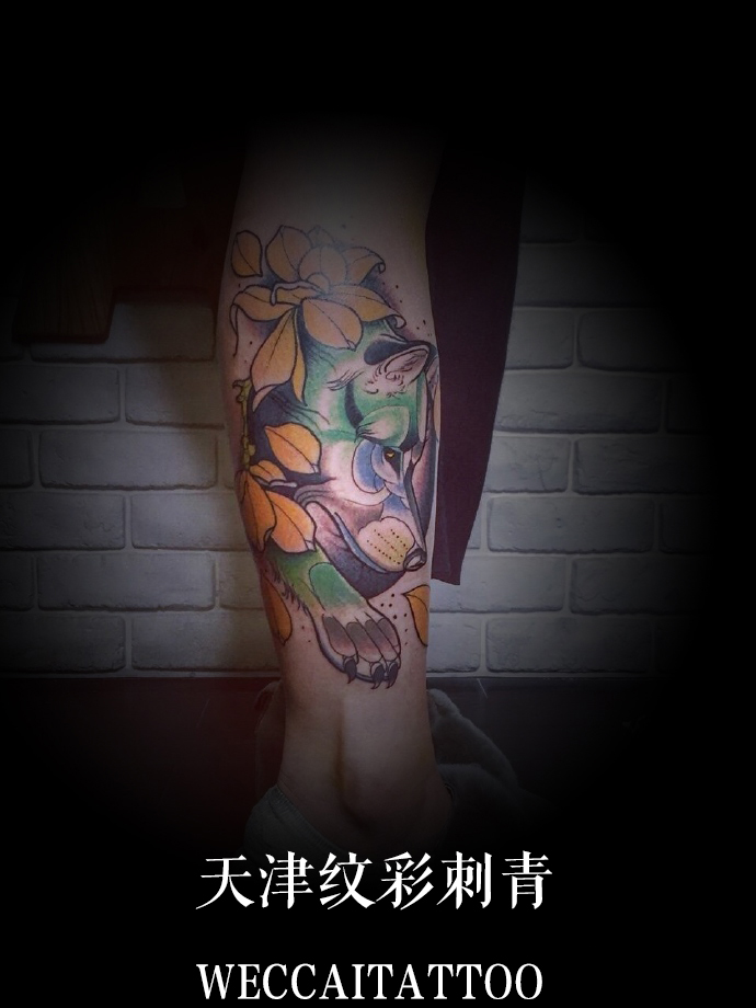 清新脱俗的孙小姐彩色“狼头”纹身图案