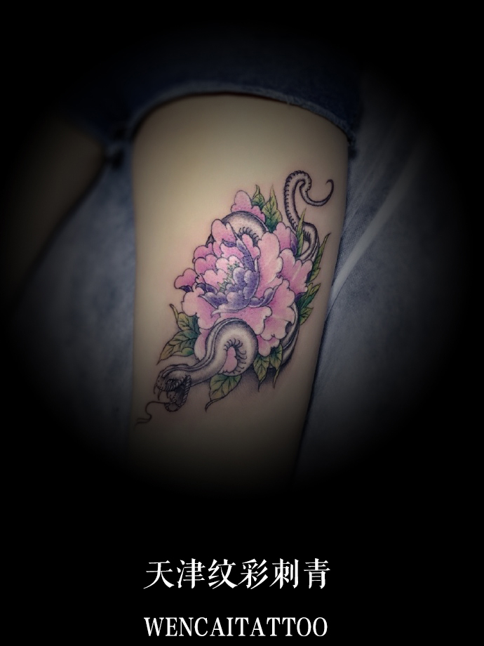 长腿萌妹聂小姐大腿花与蛇纹身